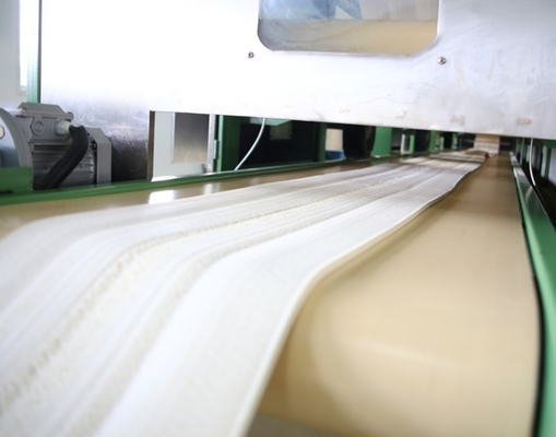 Προσαρμοσμένη υψηλή δύναμη FKM χαμηλό Mooney Fluoroelastomer επιμήκυνσης